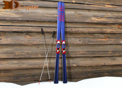 Ski and Ski Pole