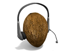 Headphones on coconut
